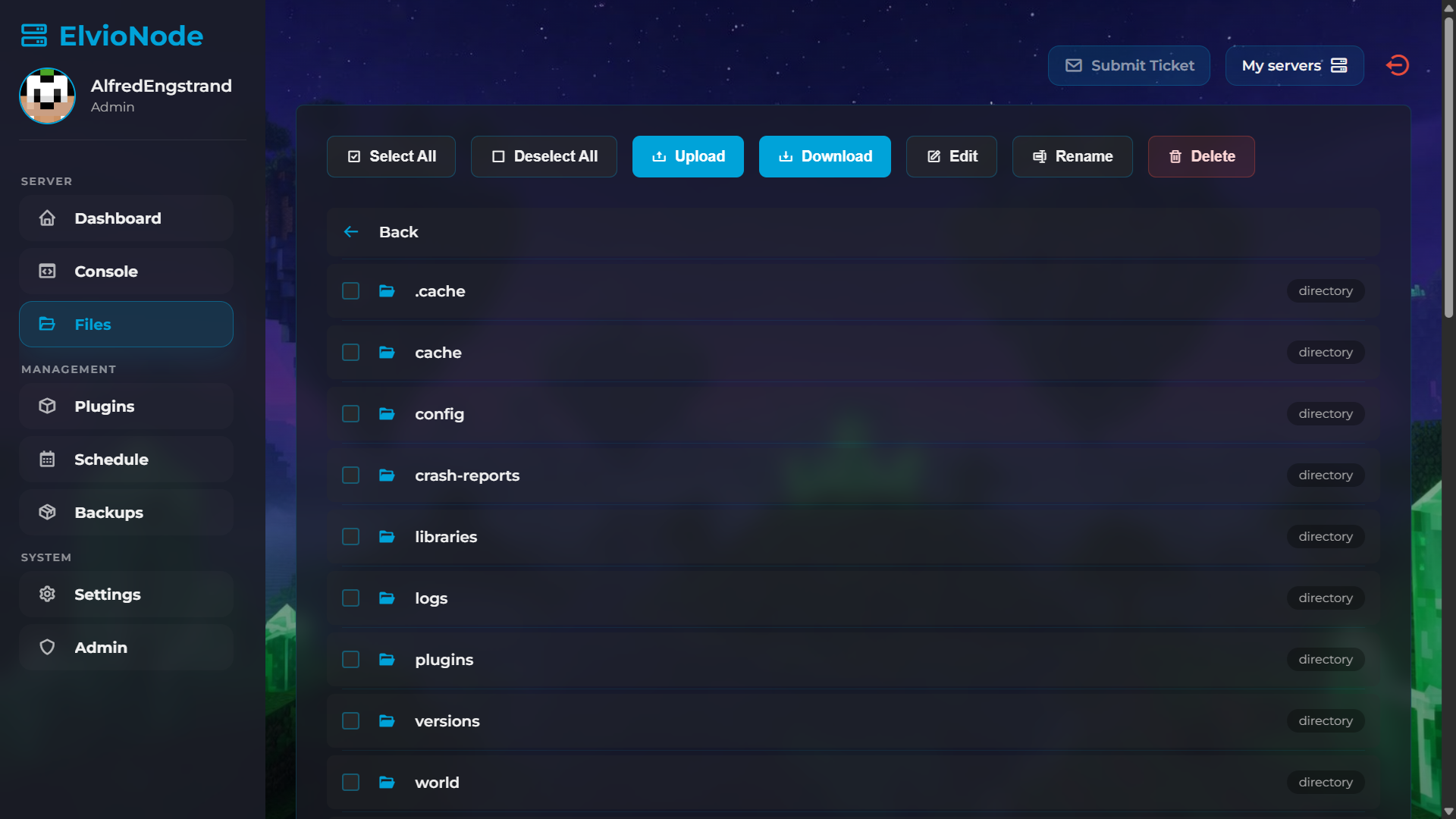 ElvioNode file manager interface